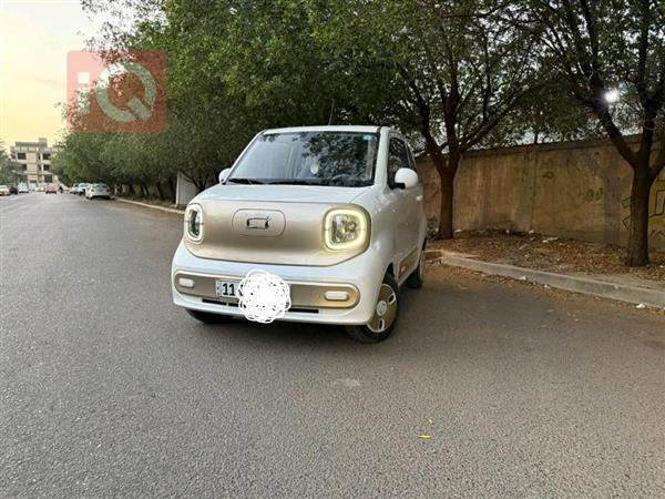 بيستون   للبيع في العراق
